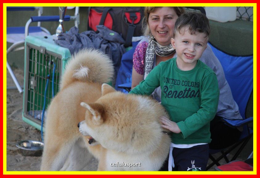 180311 mostra_canina 045.jpg